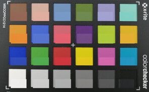 ColorChecker: il colore target è mostrato nella parte inferiore di ogni campo.