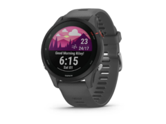 La funzione Garmin Morning Report è stata rimossa dallo smartwatch Instinct 2/2S, ma rimane sul Forerunner 255 (sopra). (Fonte: Garmin)