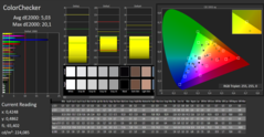 CalMAN - ColorChecker (calibrato)