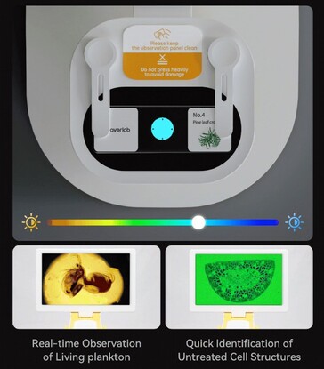 Darwin MX Pro ha una colorazione luminosa RGB regolabile dei campioni, per vedere le strutture interne con facilità. (Fonte: BeaverLab su Kickstarter)