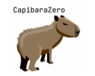 Presentazione di CapibaraZero (Fonte immagine: CapibaraZero)