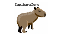 Presentazione di CapibaraZero (Fonte immagine: CapibaraZero)