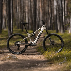 L'Amflow TL Carbon è dotato del motore a trazione centrale Avinox M2 di DJI