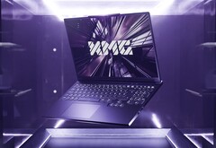 Altre opzioni entry-level per i giocatori orientati al budget. (Fonte immagine: XMG)