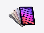 L'iPad Mini potrebbe continuare a vivere. (Fonte: Apple)