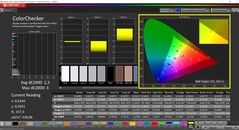 CalMAN ColorChecker (profilo: sRGB, spazio colore di destinazione: sRGB)
