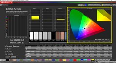 CalMAN ColorChecker (profilo: Vivid, spazio colore di destinazione: P3)