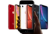 Sembra che l'iPhone SE di prossima generazione possa essere basato sull'iPhone XR di Apple. (Fonte immagine Apple - modificata)