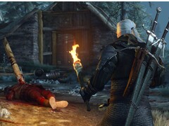 Immagine del gioco Witcher 3: Wild Hunt su Steam. (Fonte: Steam) 