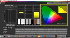 CalMAN ColorChecker (Profilo: sRGB, Spazio colore di destinazione: sRGB)