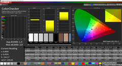 CalMAN ColorChecker calibrato