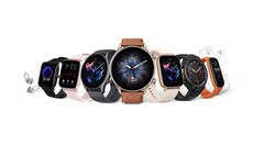 L'anno di Amazfit avrebbe potuto essere peggiore. (Fonte: Zepp Health)