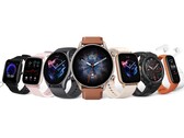 L'anno di Amazfit avrebbe potuto essere peggiore. (Fonte: Zepp Health)