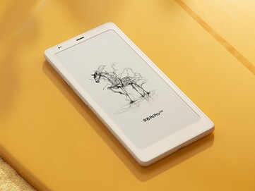Il Boox P6 Pro ha un display Carta 1300 in bianco e nero. (Fonte immagine: Onyx)