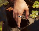 Samsung sta sviluppando una nuova alternativa all’Oura Ring 5.