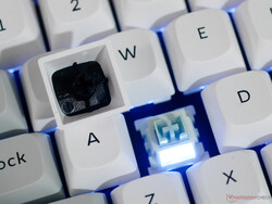 Retroilluminazione dell'interruttore Keychron Q1 HE 8K