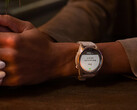I recenti smartwatch 'Pro' di Garmin sono nuovamente idonei a ricevere aggiornamenti beta. (Fonte: Garmin)