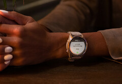I recenti smartwatch 'Pro' di Garmin sono nuovamente idonei a ricevere aggiornamenti beta. (Fonte: Garmin)