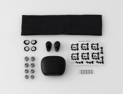 Nella confezione sono incluse quattro misure di punte in schiuma, due pinne stabilizzatrici e l'archetto per le scansioni (Fonte immagine: Final)