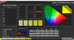 Saturazione CalMAN (spazio colore di riferimento P3, fonte: Mac Studio)