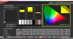 CalMAN ColorChecker (profilo: Default, spazio colore di destinazione: P3)