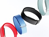 Fitbit Air compete con Whoop 5.0 a un prezzo molto più basso.
