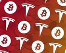 Il valore del Bitcoin sale di quasi il 20% in un giorno con l'aiuto di Tesla. (Fonte: TechCrunch)