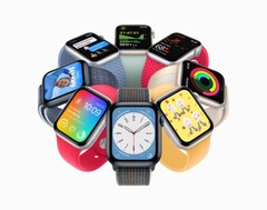 Apple Lo smartwatch Watch SE sarà lanciato il 7 settembre (Fonte: Apple)