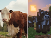 Una schermata dell'aggiornamento Minecraft Tiny Takeover che confronta le mucche del gioco con quelle reali