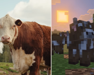 Una schermata dell'aggiornamento Minecraft Tiny Takeover che confronta le mucche del gioco con quelle reali