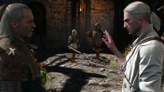 Il Witcher 3