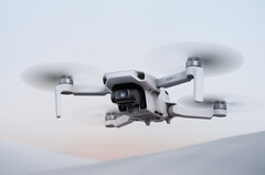 Il DJI Mini 4K sarà lanciato lunedì prossimo. (Fonte: DJI)