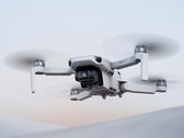 Il DJI Mini 4K sarà lanciato lunedì prossimo. (Fonte: DJI)