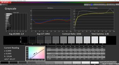 CalMan ColorChecker - Scale di grigio