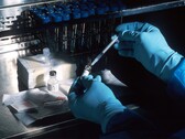 Gli scienziati hanno sviluppato un bioink che può essere usato per stampare materiali viventi. (Fonte: National Cancer Institute on Unsplash)