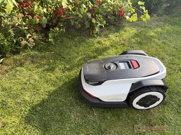 Se, invece, le piante sporgono oltre il bordo del prato, il tosaerba robotizzato le eviterà accuratamente.