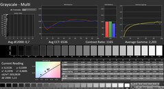 CalMAN: scala di grigi (calibrata)