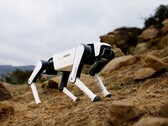 L'ultimo cane robot di Dobot dovrebbe costare poco più di 1.000 dollari. (Fonte: Dobot)