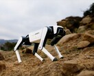 L'ultimo cane robot di Dobot dovrebbe costare poco più di 1.000 dollari. (Fonte: Dobot)