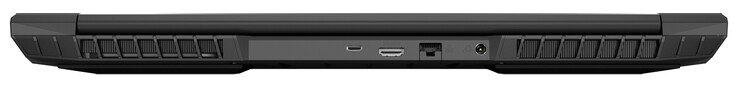 Lato posteriore: USB 3.2 Gen 2 (Tipo C; DisplayPort 1.4, compatibile G-Sync), HDMI 2.1 (HDCP 2.3), Gigabit Ethernet, alimentazione