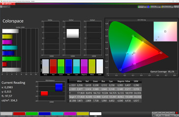 CalMan: Copertura spazio colore (Spazio colore: sRGB, Profilo: Standard)