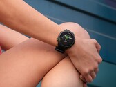 L'aggiornamento 21.19 della beta pubblica di Garmin per vari smartwatch Forerunner è una Release Candidate. (Fonte immagine: Garmin)