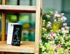 Motorola Moto G87 nel test.