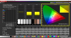 CalMAN - ColorChecker calibrato