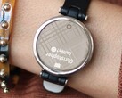 Lo smartwatch Garmin Lily è ora disponibile in due nuove varianti di colore. (Fonte: Garmin)
