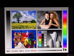 Ampi angoli di visione OLED