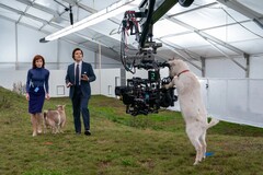 Per ottenere l'estetica distinta dello show, ispirata agli anni '70, i corpi macchina sono stati accoppiati con obiettivi anamorfici Panavision Serie C. (Fonte: Apple TV+)