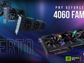 Le schede RTX 4060 di PNY. (Fonte: PNY)