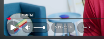 I nuovi controlli video appaiono ora in bolle semitrasparenti. (Fonte: Kristen Spradlin / Notebookcheck)
