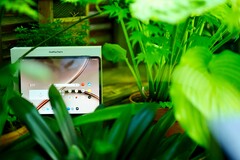 Il OnePlus 4 è un ottimo tablet, ma il suo periodo di assistenza non è ideale.
